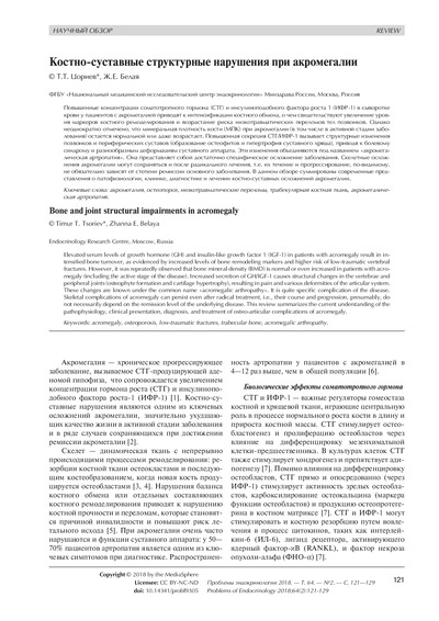 PDF Превью