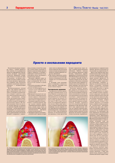PDF Превью