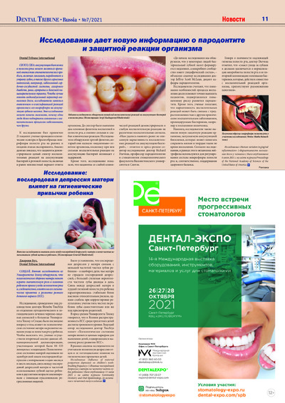 PDF Превью